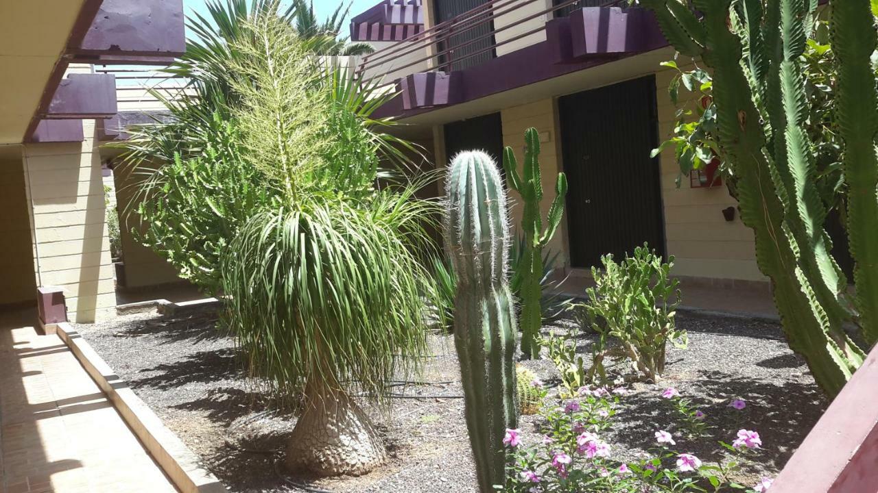 Beautiful Apartment Hercules Costa Del Silencio Esterno foto